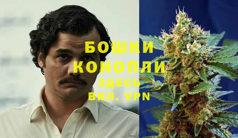 купить закладку  Великий Новгород  Каннабис White Widow 